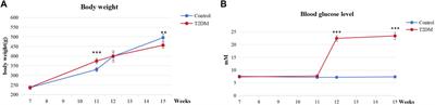 Evaluate the effects of low-intensity pulsed ultrasound on dental implant osseointegration under type II diabetes